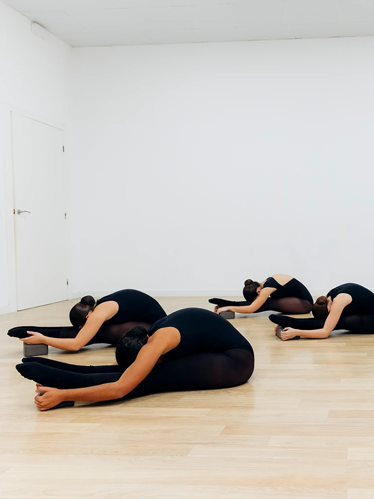 Disciplina dansa PBT
